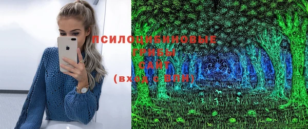 спиды Бородино