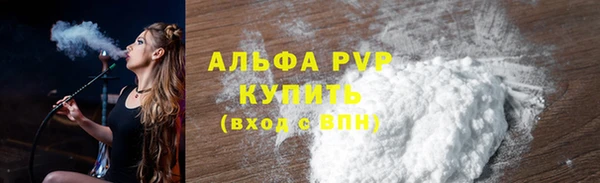 спиды Бородино