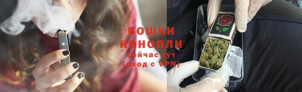 спиды Бородино