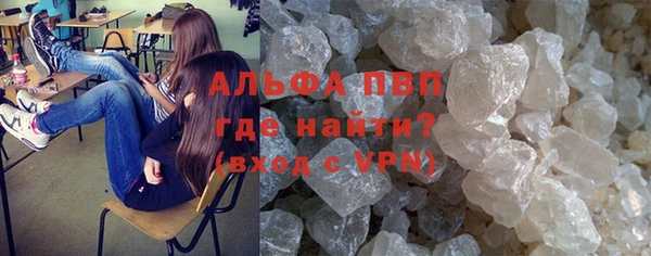 спиды Бородино
