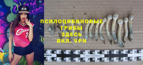 спиды Бородино