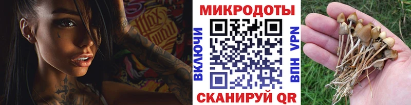 Псилоцибиновые грибы GOLDEN TEACHER  Моздок 