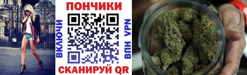 Бошки Шишки ГИДРОПОН  Моздок 